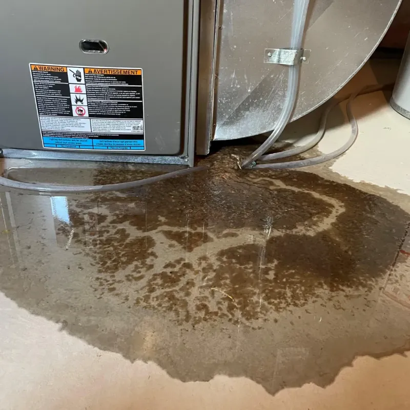 Appliance Leak Cleanup in Bogart, GA
