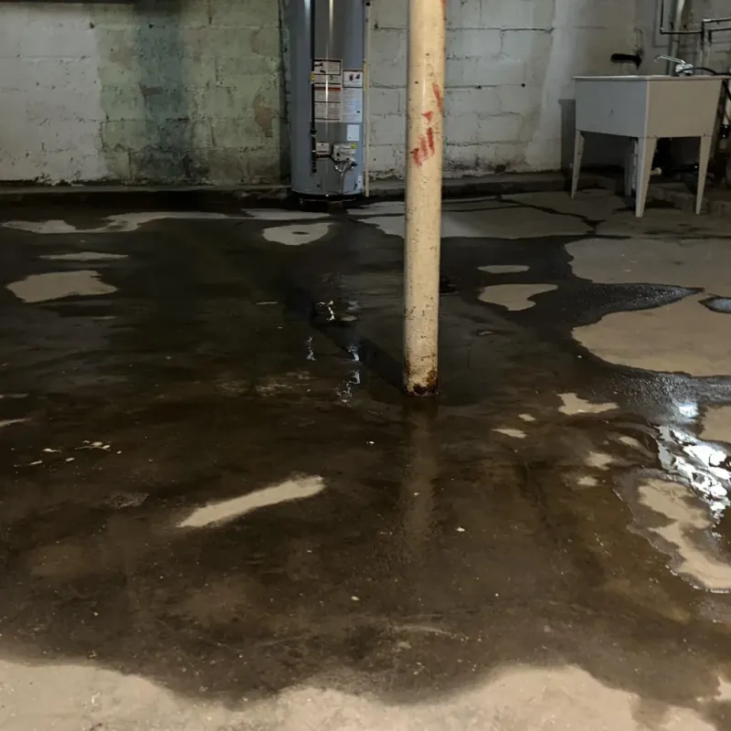 Emergency Water Extraction And Removal in Bogart, GA